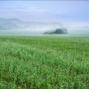 김동주농장 이미지