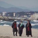 국제미싱