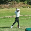 파크골프 이미지