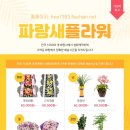 건강멘탈연구소 이미지