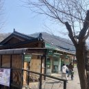 가시나무공원 | 가평 아침고요수목원 주말 방문 후기