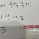 진하길 | 임신 극초기 증상(배란 5~20일):: 임테기 진하기