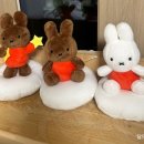 오천3 | 인형뽑기 성지🕹️🐰 신상 미피 다 있는 캑티 가차샵 홍대점 _ 오천원에 미피 다섯개 뽑기🐰🕹️( 3회차 방문 후기)