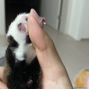 송림동물병원 이미지