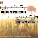 꽃들도 - 칠곡군 자조1길 9-18 | 꽃들도