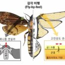 이다컴패니 이미지