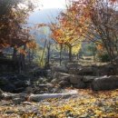 서산기쁨농장 이미지