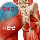 신주례태권도체육관 이미지