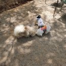 루원하이동물병원 이미지