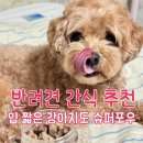 덕배네 | [반려견 간식 추천] 슈퍼포우🐶 까다로운 덕배도 완밥, 소간트릿부터 파우더까지…