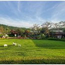 피츠로이가든 이미지