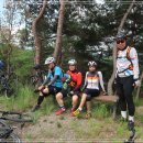 장태울다리 이미지