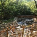 대운산펜션 이미지