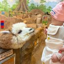 애완동물원 | 부산 실내동물원 명지 라라쥬동물원 9개월 아기랑