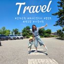 아이와 가기 좋은 여행지 추천, 고창 상하농원 &amp; 법성포 1박 2일