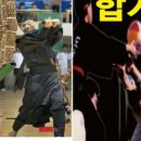 민락합기도 거호의인총본관 이미지