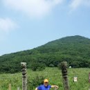 곰배령화원 이미지