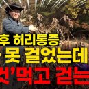 수술 수 허리통증 이것 먹고 걷는다 이미지