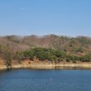 한반도 | 대전근교 옥천 한반도지형 부소담악 솔직한 방문후기