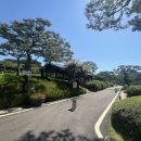 서일농장2 | 선밸리CC 가는 길에 들린 안성 일죽 청국장 맛집 서일농원