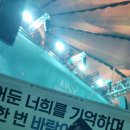 씨트러스큐 | written by flower encore in seoul / 루시 콘서트 후기 / 올림픽공원 핸드볼경기장 L구역 스탠딩 47n...