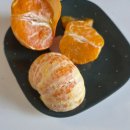 (주)신라외식개발 | 탱자마미 다이어트 67~73일차｜외식 - 파스타 - 국밥 먹어도 감량은 계속된다