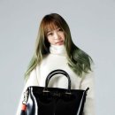 가방하니 이미지
