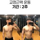 경희석사태권도 | [민락동헬스장 PT] 휴먼근골격 운동센터 김범준 선생님 찐 후기!