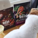 대한사료(주) | 길고양이 사료 브랜드 추천받은 이유!