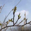 친환경우리농장 이미지