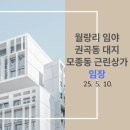 (주)유토플렉스산업개발 | [임장] 월랑리 임야, 권곡동 대지, 모종동 근린상가