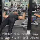 광배근운동 인버티드 로우 Inverted Row 이미지