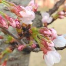 만경강길 1코스 이미지