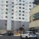 장한태권도 이미지