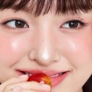 속눈썹쟁이