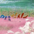 익산시치매상담센터 이미지