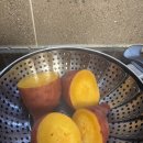 영등포봄한방병원 | 마운자로(2.5mg) 한달 사용 후기, 병원정보