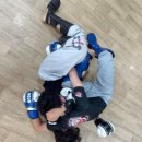 팀레드 | 부평종합격투기 체육관! 합성태권도장 / 팀레드폭스 주짓수&amp;MMA 후기입니다