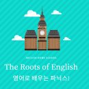 코닉스CONICS 이미지