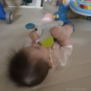 달콩이 | 달콩이 육아일기 +282일(아기배밀이)