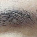 브로즈아카데미 이미지