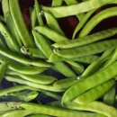 용우외가농장 이미지