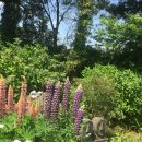 선흘하우스 이미지