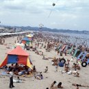 송도해수욕장 이미지