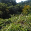 남산1리마을회관 이미지