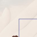 마이오서울안과의원 이미지