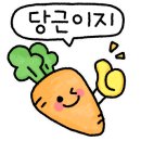 대전 여성복싱 이미지