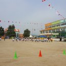 흥천초등학교 이미지