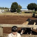 서하네 민박 이미지