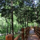 대운상대길 이미지